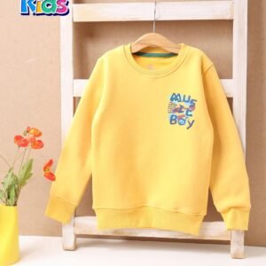 سويتشيرت أولادى